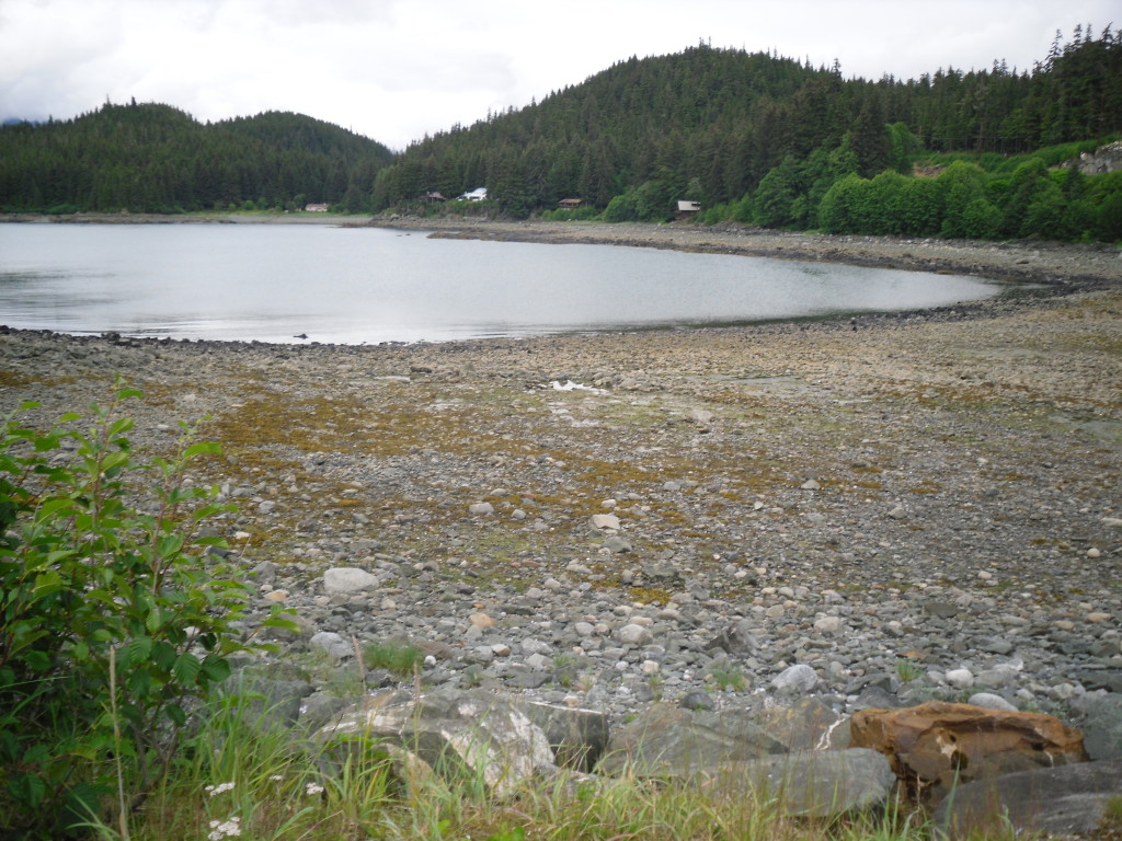 Side View Off the Walkway -- Low Tide