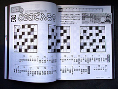 Japanese Crossword Puzzles