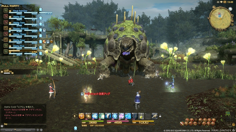 ARR screenshot